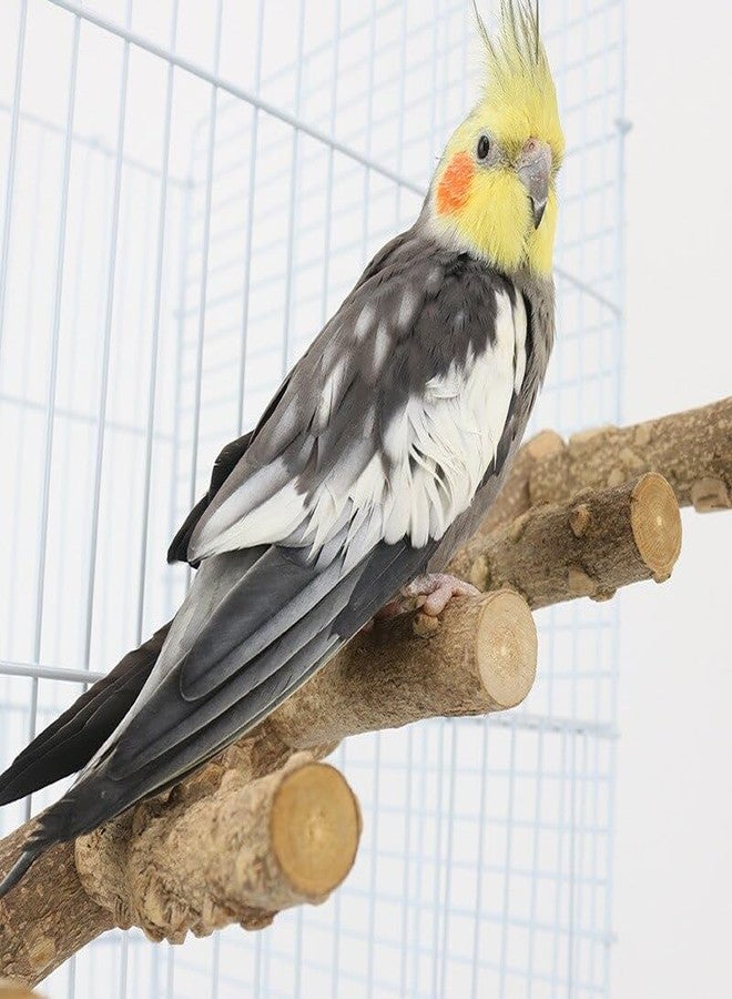 SS Organic® SS Organic® Natural Wood Parrot Perch Bird Stand Climbing Standing Branch Ladder Bird Cage Wood Stand Parrot Chew Toy for Small Animal - Image 2